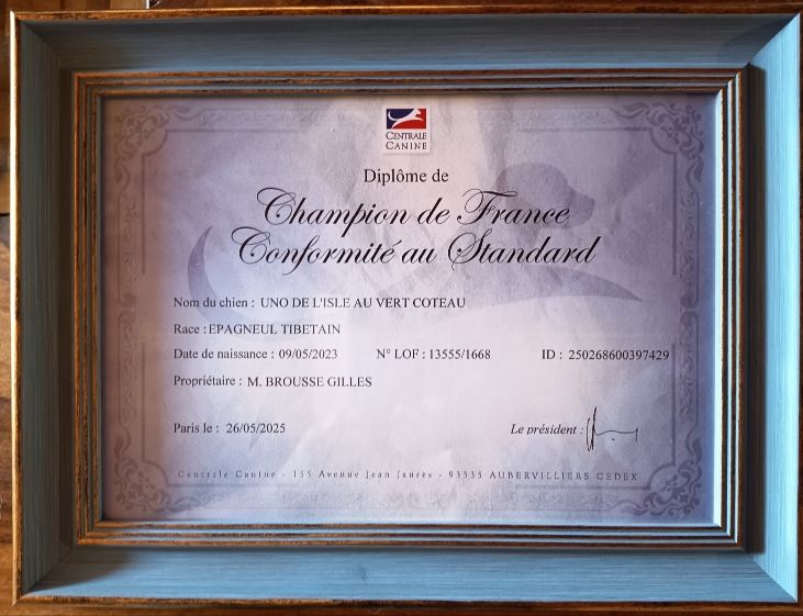 Champion de France 