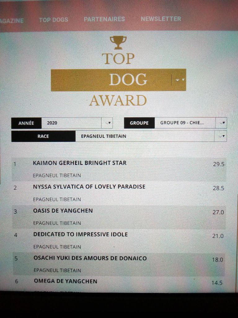 Résultats Top Dog Award 2020